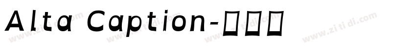 Alta Caption字体转换
